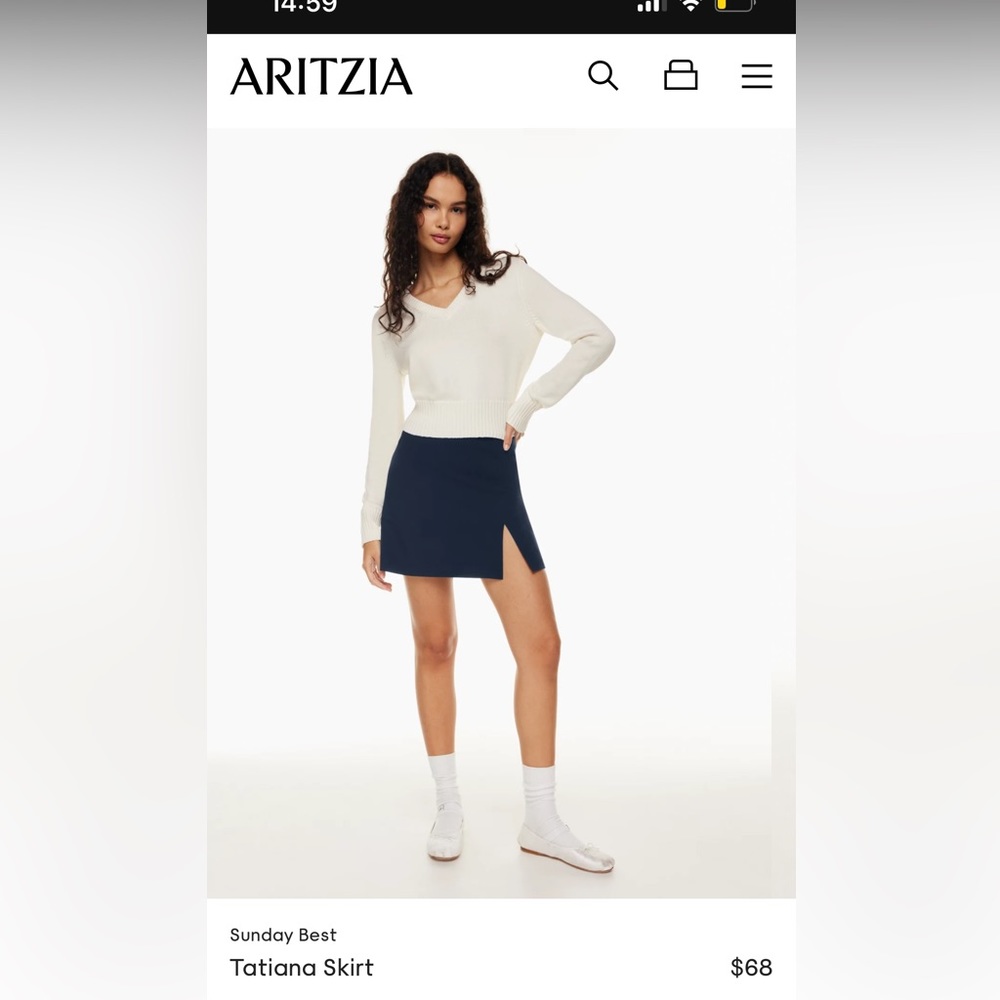 Aritzia Sunday Best Skirt